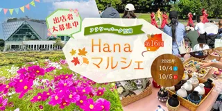 16th Hana Marche