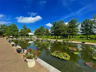 Summer Garden Party