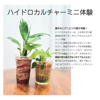 Hydroponics Mini Experience