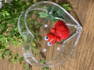 貝殻ワークショップ