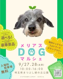 メリアスdogマルシェin埼玉県営まつぶし緑の丘公園