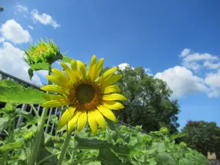 Summer Water Story
