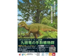 企画展「九頭竜の手取植物群」くずりゅう化石ラボ ガ・オーノ