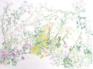第13回　野の花庭の花を描く水彩画展