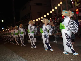 Fukuchiyama Dokkoise Festival