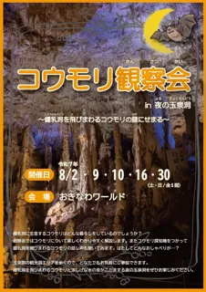 コウモリ観察会in夜の玉泉洞