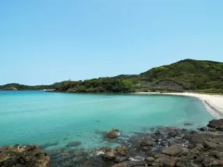【海水浴】根獅子の浜海水浴場