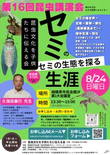 第16回昆虫講演会　セミの生態を探る！