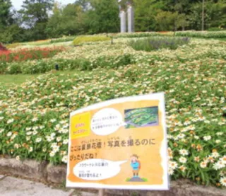 夏休みクイズラリー！
