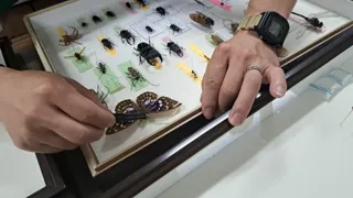 Summer Vacation Project 'Get to Know Local Creatures!'