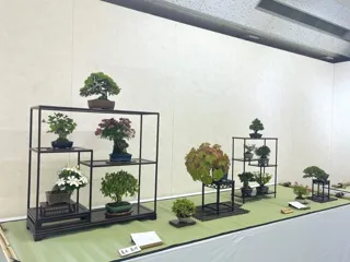 秋の小品盆栽展
