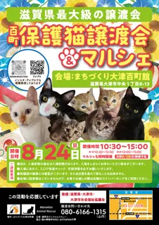 Hyakumachi Cat Adoption Event & Marche (August)