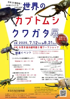 世界のカブトムシ・クワガタ展2025