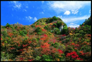 【紅葉・見ごろ】香落渓