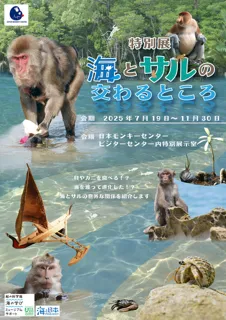 Special Exhibition 'Where the Sea Meets the Monkeys'