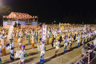 Authentic Tsurusaki Dance Festival