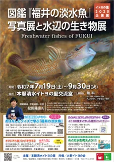 図鑑『福井の淡水魚』写真展と水辺の生き物展　本願清水イトヨの里