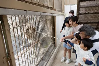 東武動物公園　アニマルディナー（エサやり体験）