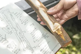 アートラボぎふ　私を見つける森のナイフワーク －生と静の1日－