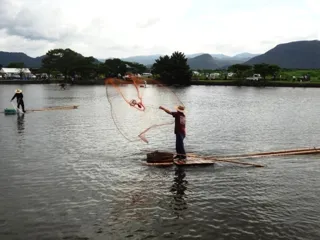 はんぎり出し