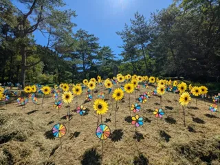 5th Kaze Matsuri