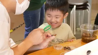 めばえのかがく「めざせ！ダンゴムシはかせ」