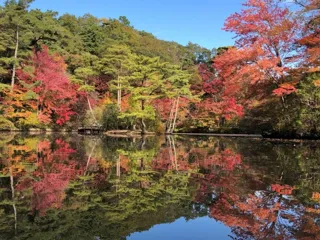 ～世界の森の紅葉めぐり～ 植物園のもみじ散策