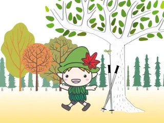 ウエルネスウォーキング（11月）
