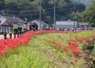 第11回里山尾道ウォークinみつぎ