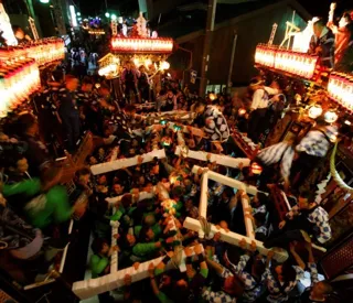 Forest Festival