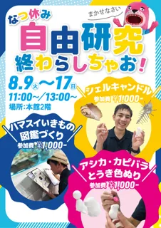 HamaSui Summer Vacation Project: Let's Finish Your Summer Research!