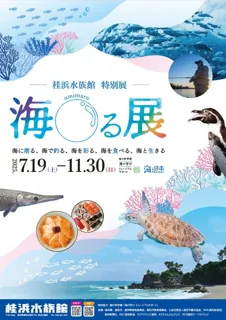 海〇る展