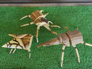 Yono's Woodworking Class (August)