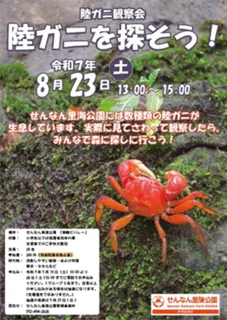 陸ガニ観察会　陸ガニを探そう！
