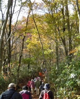 第34回氷ノ山紅葉登山フェスティバル