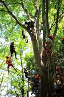 Park Fitness Tree Climbing (September)