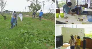 むかっち博士の自然観察会「陸のいきもの調べ」