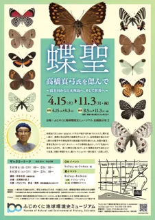 企画展「蝶聖　高橋真弓氏を偲んで～富士川から日本列島へ、そして世界へ～」（後期）