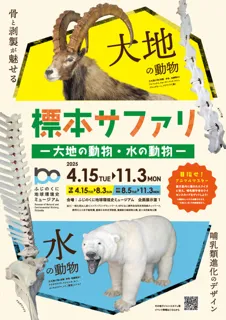 企画展「標本サファリー大地の動物・水の動物ー」（後期）