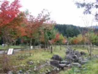 【紅葉・見ごろ】滝谷森林公園