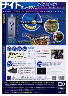 ナイトミュージアム