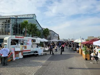 TOYOTA SOCIAL FES!! Experience the New Charm of Waterside