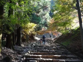 Takeda Mountain and Yame Olle Course Conquest Overnight Tour