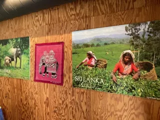 世界お茶まつり2025 秋の祭典 世界大茶会 幻の極上セイロンティー
