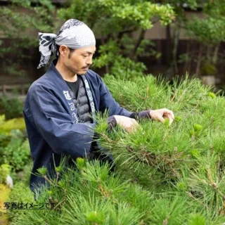 庭職人と庭園スタディー2025「秋～冬の庭」