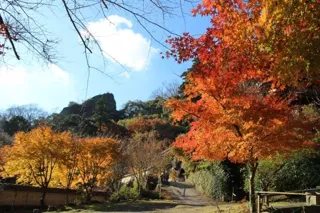 【紅葉・見ごろ】文殊仙寺