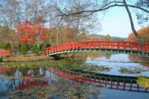 [Autumn Leaves・Best Viewing] Hachironuma Park