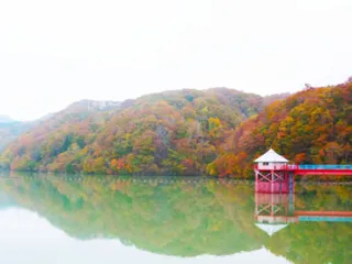 [Autumn Leaves - Best Viewing] Kaminiso Dam Park
