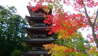 [Autumn Leaves - Best Time] Myosenji