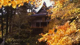 【Autumn Foliage・Best Viewing】Sado Kiyomizu-dera